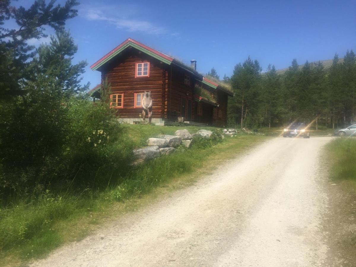 Vila Rondane Sollia Friluftsliv Ovre Nordli Exteriér fotografie