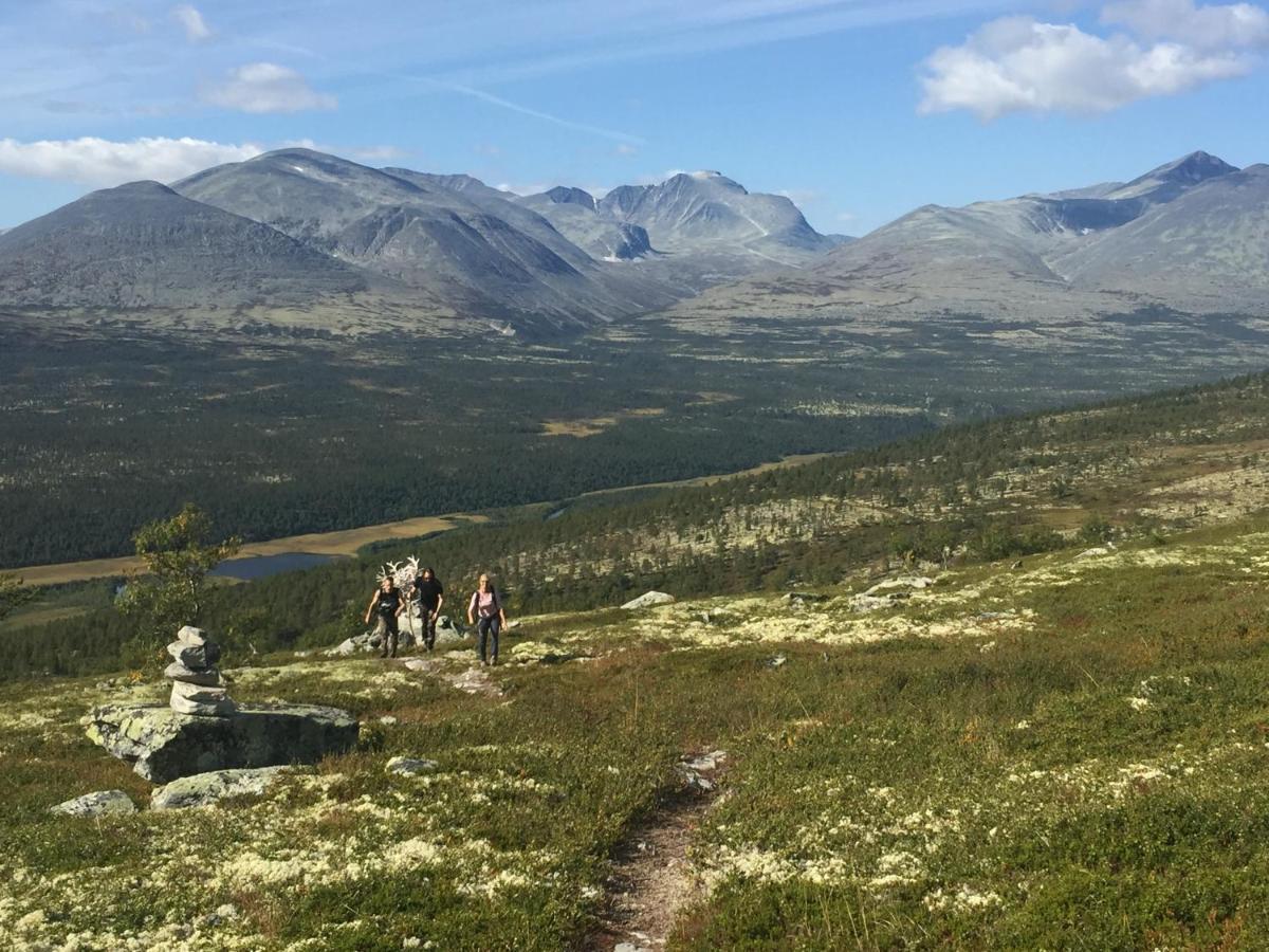 Vila Rondane Sollia Friluftsliv Ovre Nordli Exteriér fotografie