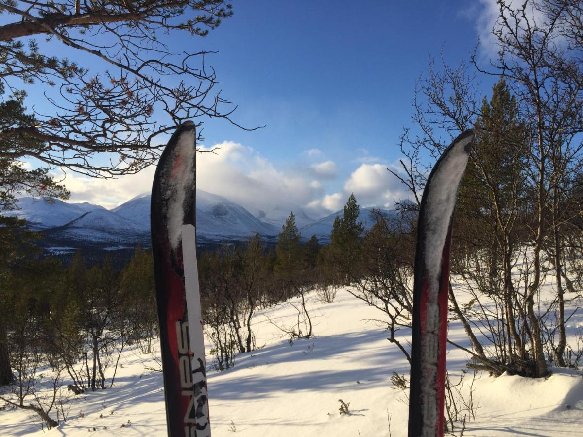 Vila Rondane Sollia Friluftsliv Ovre Nordli Exteriér fotografie