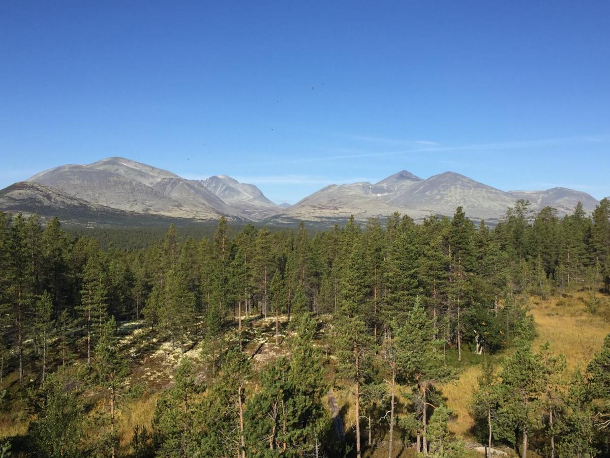 Vila Rondane Sollia Friluftsliv Ovre Nordli Exteriér fotografie