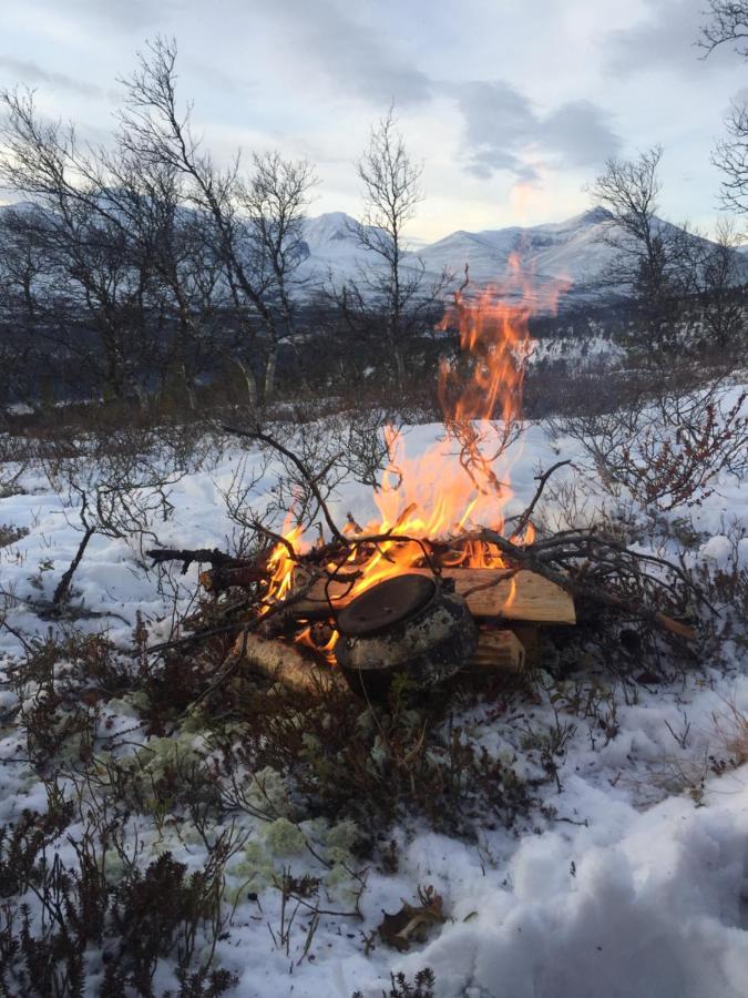 Vila Rondane Sollia Friluftsliv Ovre Nordli Exteriér fotografie