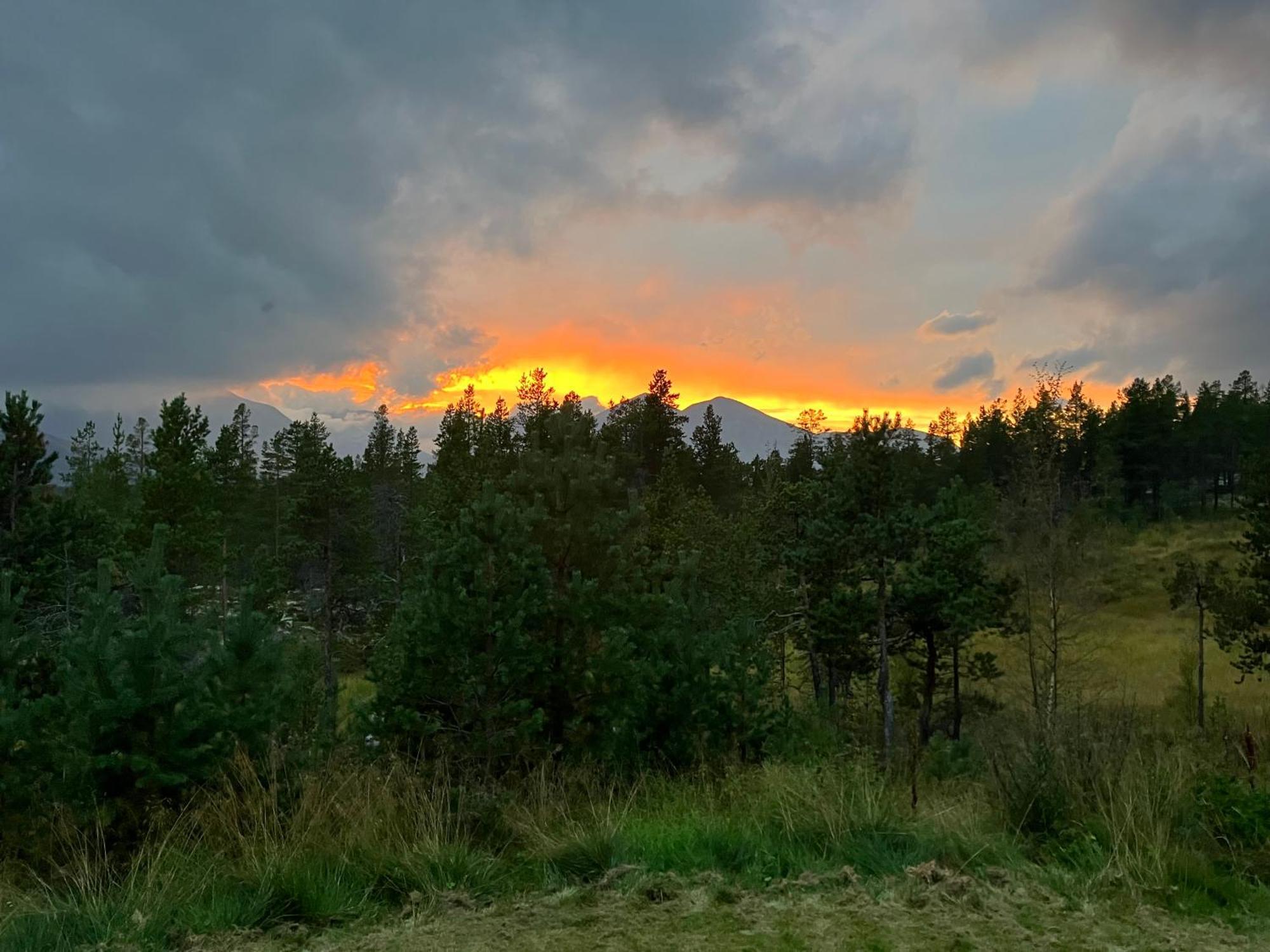 Vila Rondane Sollia Friluftsliv Ovre Nordli Exteriér fotografie