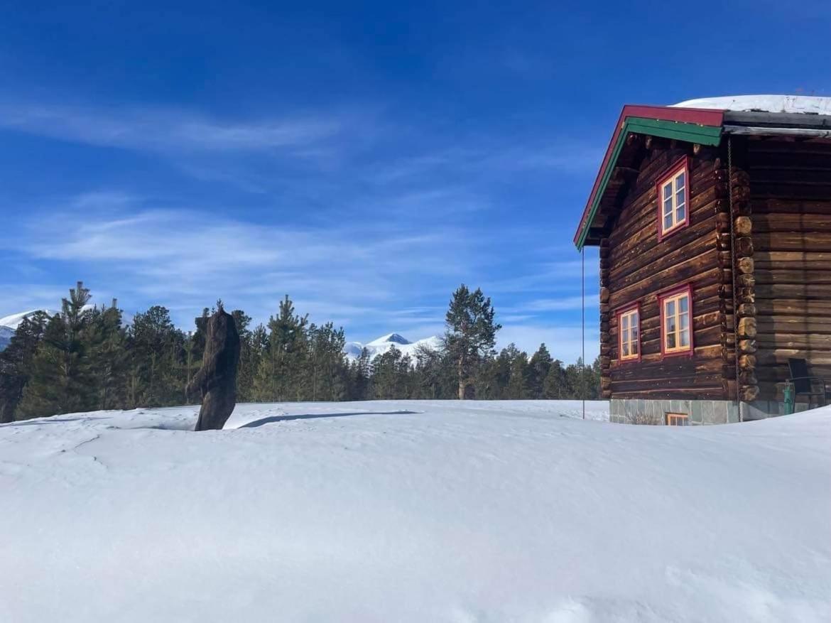 Vila Rondane Sollia Friluftsliv Ovre Nordli Exteriér fotografie